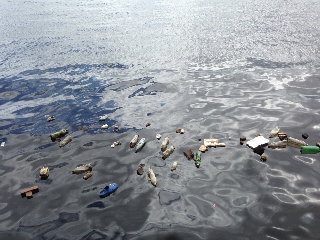 Il Ministro Costa promette una legge per pulire il mare con l’aiuto dei pescatori